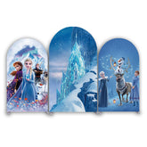 Frozen Theme Happy Birthday Party Arch Backdrop Wall Cloth Cover